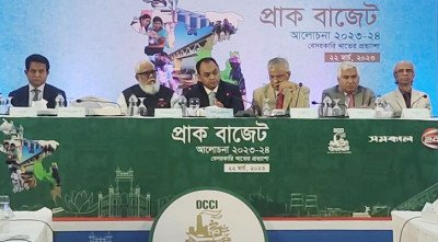 সবাইকে কিছু না কিছু কর দিতে হবে: সালমান এফ রহমান