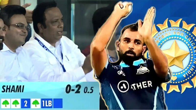 ডট বল মানেই পাঁচশ গাছ - আইপিএলের পরিবেশ বান্ধব নতুন নিয়ম