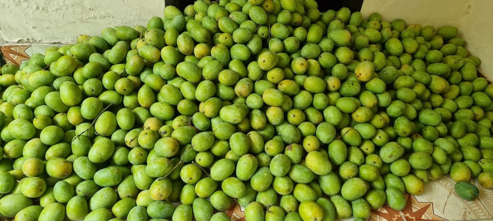 চলতি বছর ৩৪ দেশে ২ হাজার ৭০০ টন আম রপ্তানি