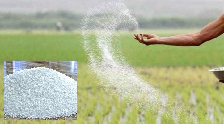 সরকার এক লাখ ২০ হাজার টন সার কিনবে, ৫৩১ কোটি টাকায়