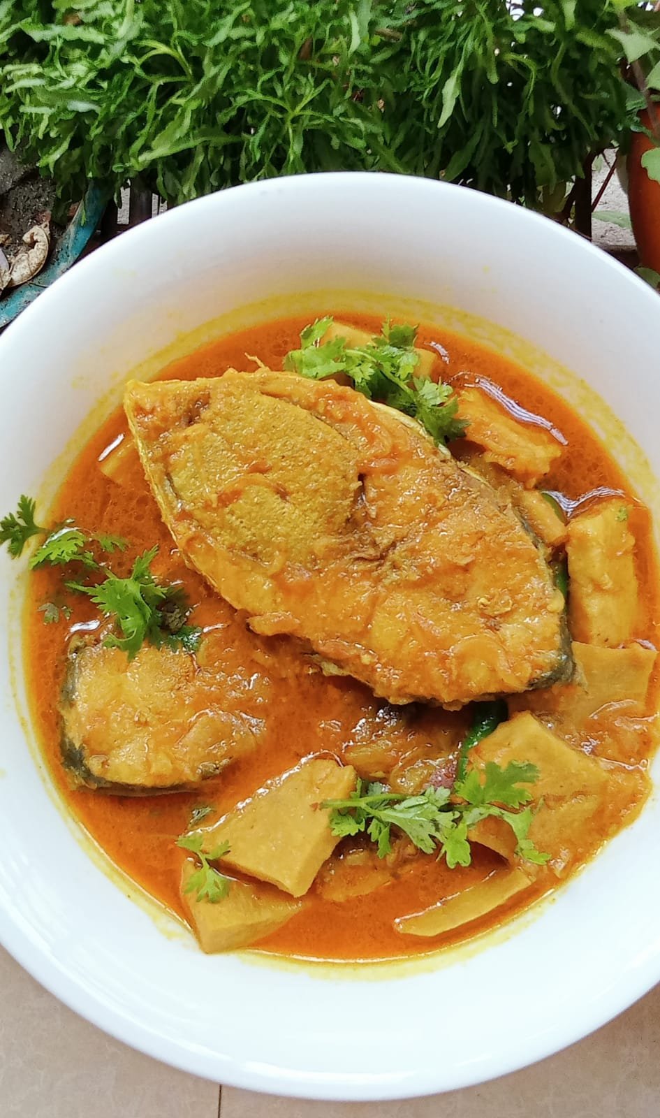 রান্না : মানকচুতে ইলিশের ঝোল