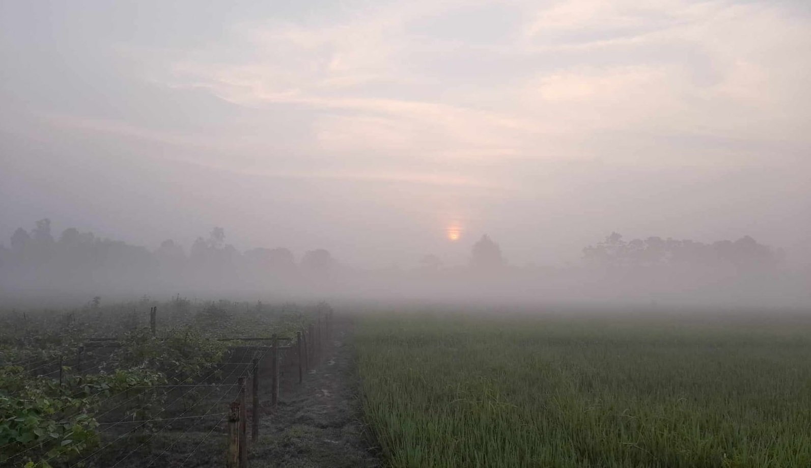 আজ দেশের সর্বনিম্ন তাপমাত্রা নওগাঁর বদলগাছীতে