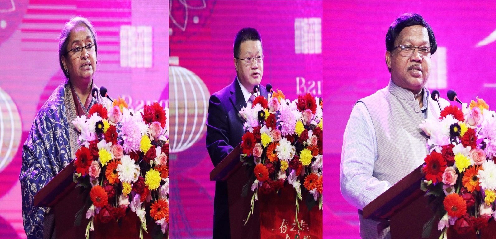 শিল্পকলায় হয়ে গেল মনোমুগ্ধকর চীনা বসন্ত উৎসব