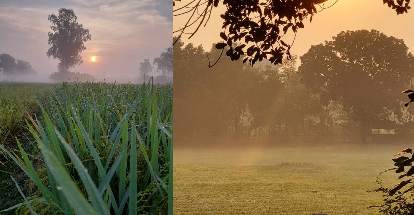 দেশে শৈত্যপ্রবাহ অব্যাহত থাকবে