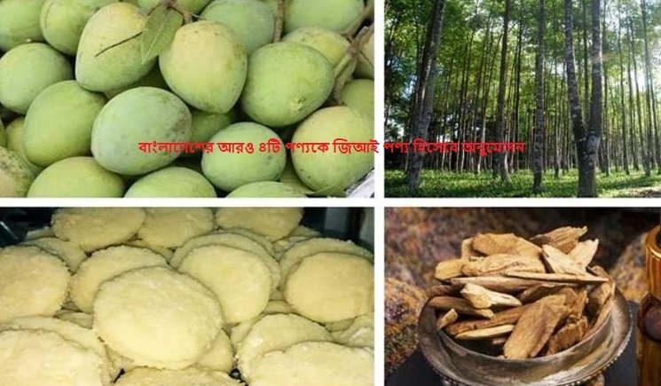 বাংলাদেশের আরও ৪টি পণ্যকে জিআই পণ্য হিসেবে অনুমোদন