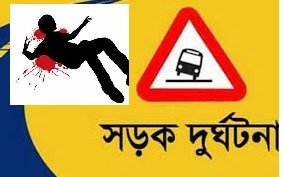 সড়ক দুর্ঘটনায় ফরিপুরে ১৪ জন নিহত