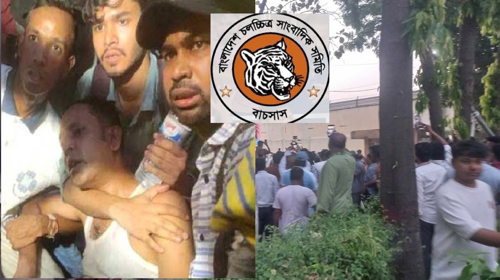 বিএফডিসিতে সাংবাদিকদের ওপর হামলার ঘটনায় বাচসাসের নিন্দা