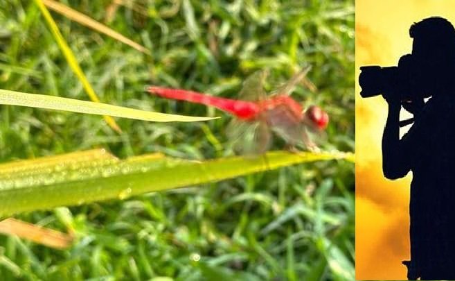 এবার ১৩ জন পাচ্ছেন জাতীয় আলোকচিত্র প্রতিযোগিতার পুরস্কার