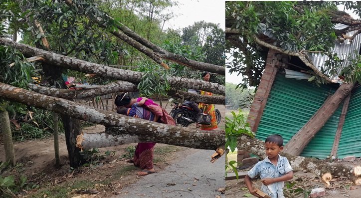 তুমুল ঝড়ে ঠাকুরগাঁও জেলায় ৩ জনের মৃত্যু