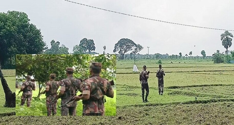 ভারতে চামড়া পাচার রোধে সীমান্তে বিজিবির সতর্কতা